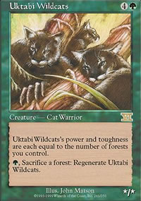 Uktabi Wildcats - 6th Edition
