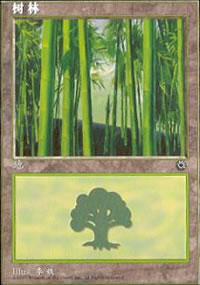 Forest - Asian Alternate Arts