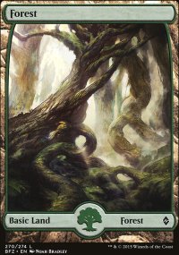 Forest 1 - Battle for Zendikar
