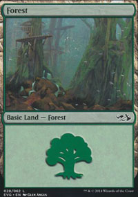 Forest 1 - Duel Decks : Anthology