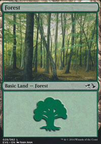 Forest 2 - Duel Decks : Anthology