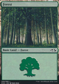 Forest 3 - Duel Decks : Anthology