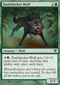 Darkthicket Wolf - Innistrad