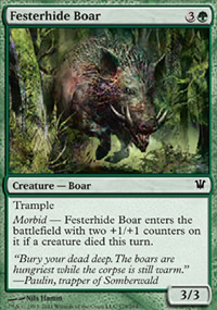 Festerhide Boar - Innistrad