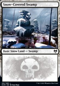 Snow-Covered Swamp 2 - Kaldheim