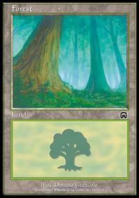 Forest 1 - Mercadian Masques