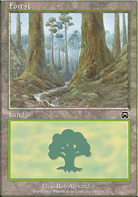 Forest 3 - Mercadian Masques