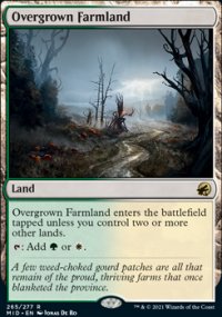 Overgrown Farmland - Innistrad: Midnight Hunt