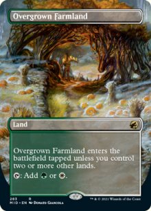 Overgrown Farmland 2 - Innistrad: Midnight Hunt