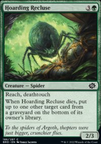 Hoarding Recluse - The Brothers War