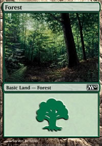 Forest 3 - Magic 2010