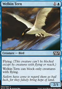 Welkin Tern - Magic 2015