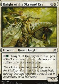 Knight of the Skyward Eye - Masters 25