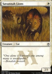 Savannah Lions - Masters 25