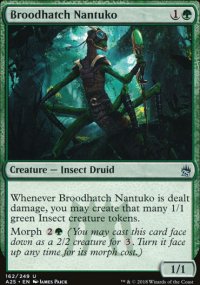 Broodhatch Nantuko - Masters 25