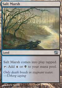 Salt Marsh - 8th Edition