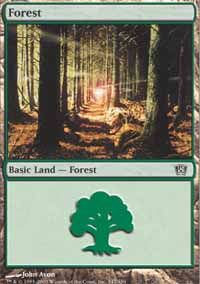 Forest 1 - 8th Edition
