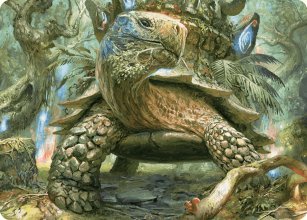 Blossoming Tortoise - Art 1 - Wilds of Eldraine - Art Series