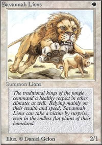 Savannah Lions - Unlimited