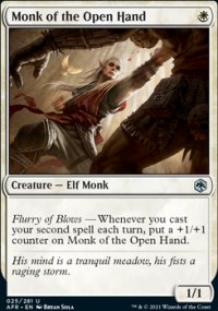 Monk of the Open Hand - Dungeons & Dragons: Adventures in the Forgotten Realms