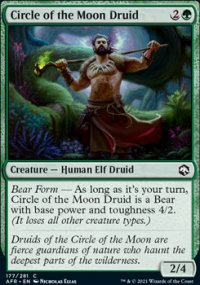 Circle of the Moon Druid - Dungeons & Dragons: Adventures in the Forgotten Realms