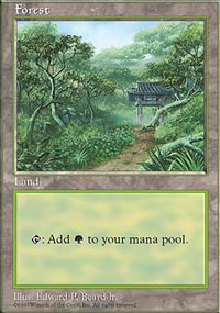 Forest 3 - APAC Lands