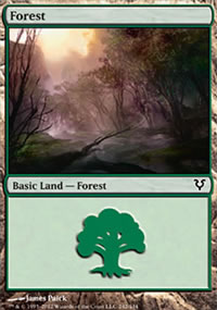 Forest 1 - Avacyn Restored