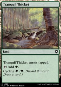 Tranquil Thicket - Bloomburrow Commander Decks