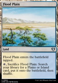 Flood Plain - Commander Masters