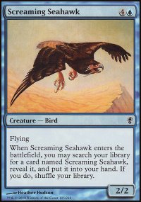 Screaming Seahawk - Conspiracy