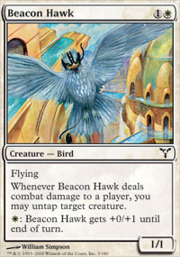 Beacon Hawk - Dissension