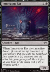 Innocuous Rat - 