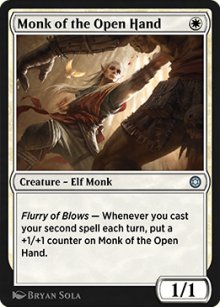 Monk of the Open Hand - Alchemy Horizons: Baldur's Gate