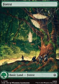 Forest - The Hobbit