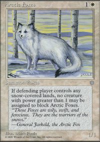 Arctic Foxes - Ice Age