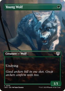 Young Wolf - 