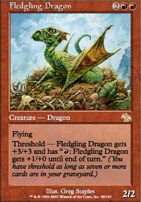 Fledgling Dragon - Judgment