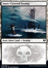 Snow-Covered Swamp 1 - Kaldheim