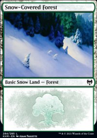 Snow-Covered Forest 1 - Kaldheim
