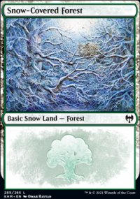Snow-Covered Forest 2 - Kaldheim