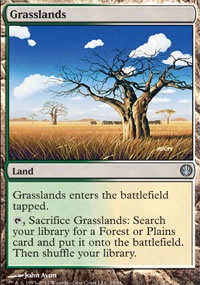 Grasslands - Knights vs. Dragons