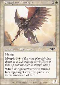 Wingbeat Warrior - Legions
