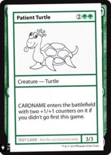 Patient Turtle - Mystery Booster