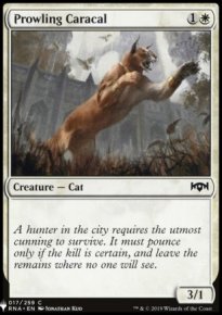 Prowling Caracal - Mystery Booster