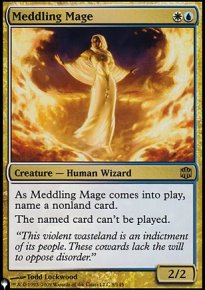 Meddling Mage - Mystery Booster