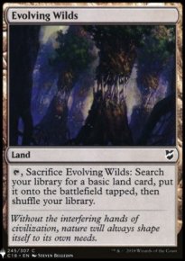 Evolving Wilds - Mystery Booster