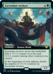 Ascendant Acolyte - Kamigawa Neon Dynasty Commander Decks