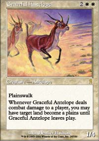 Graceful Antelope - Odyssey