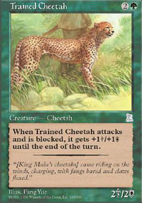 Trained Cheetah - Portal Three Kingdoms