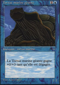 Giant Tortoise - Renaissance